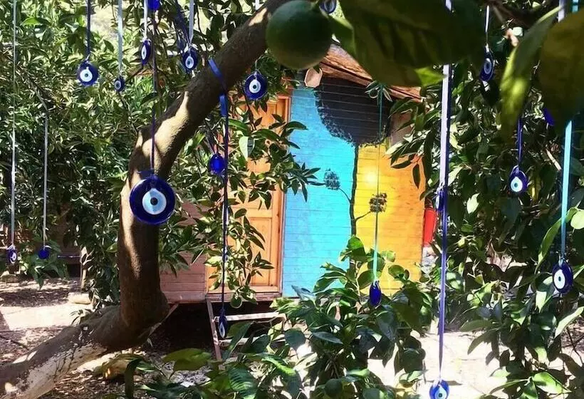 Olympos Alaturka Pansiyon