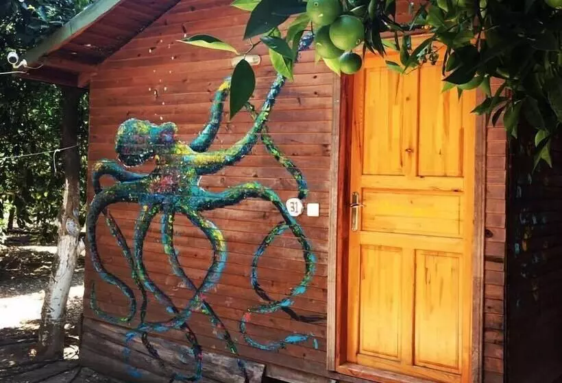 Olympos Alaturka Pansiyon