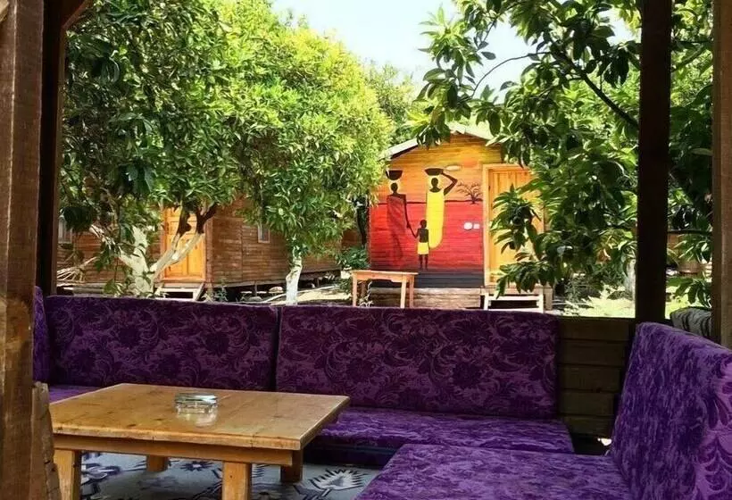 Olympos Alaturka Pansiyon