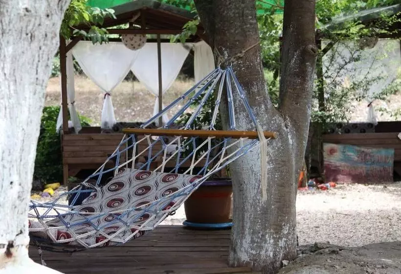 Olympos Alaturka Pansiyon