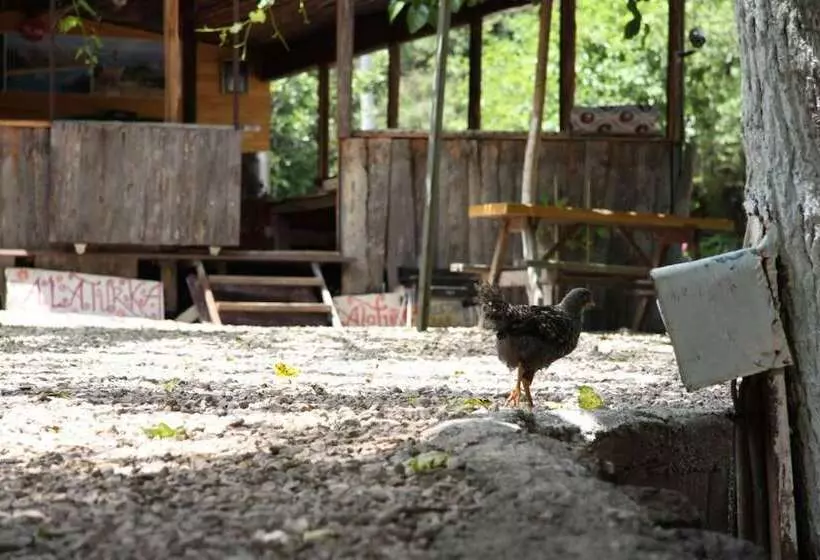 Olympos Alaturka Pansiyon