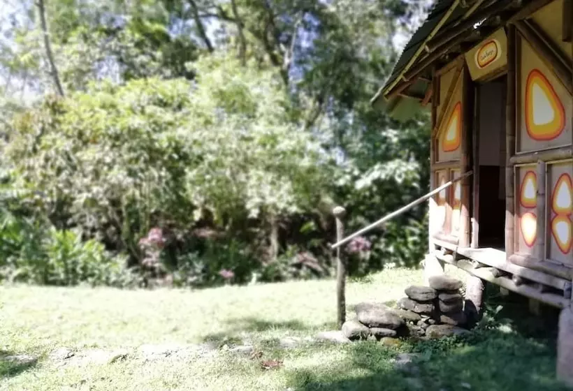 Hotelli Finca Ecolodges El Ocelote