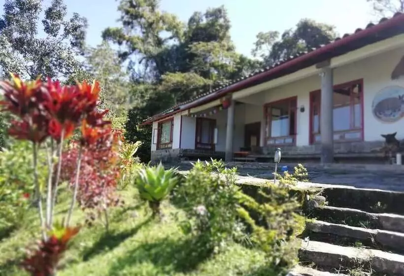 Hotelli Finca Ecolodges El Ocelote