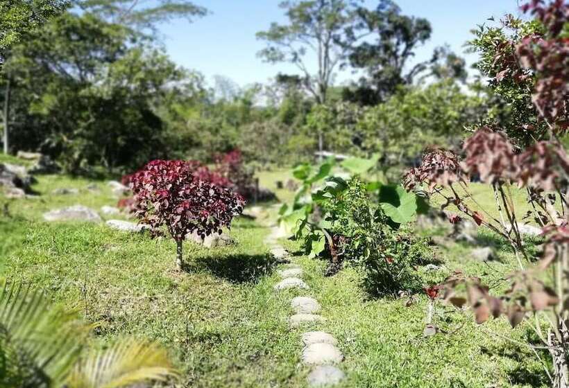 Hotel Finca Ecolodges El Ocelote