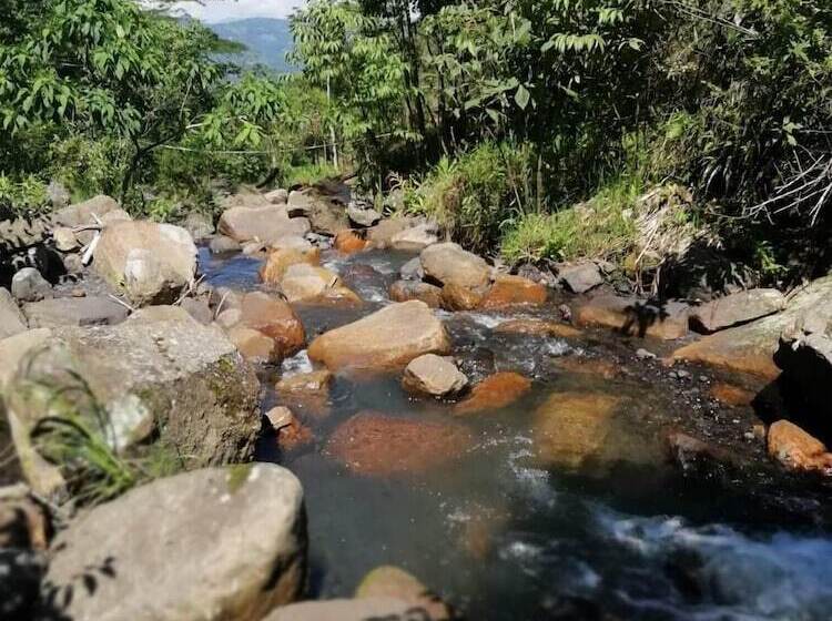 Hotel Finca Ecolodges El Ocelote