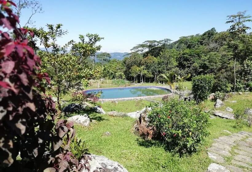 Hotel Finca Ecolodges El Ocelote