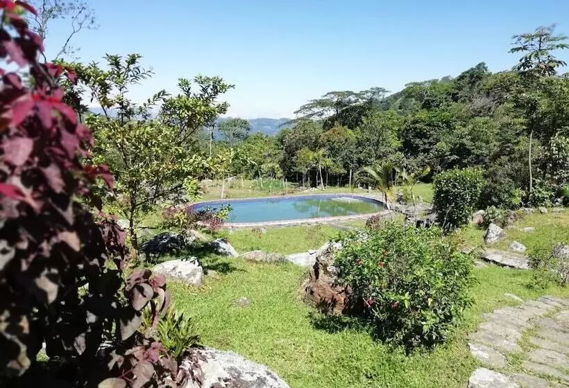 Hotelli Finca Ecolodges El Ocelote