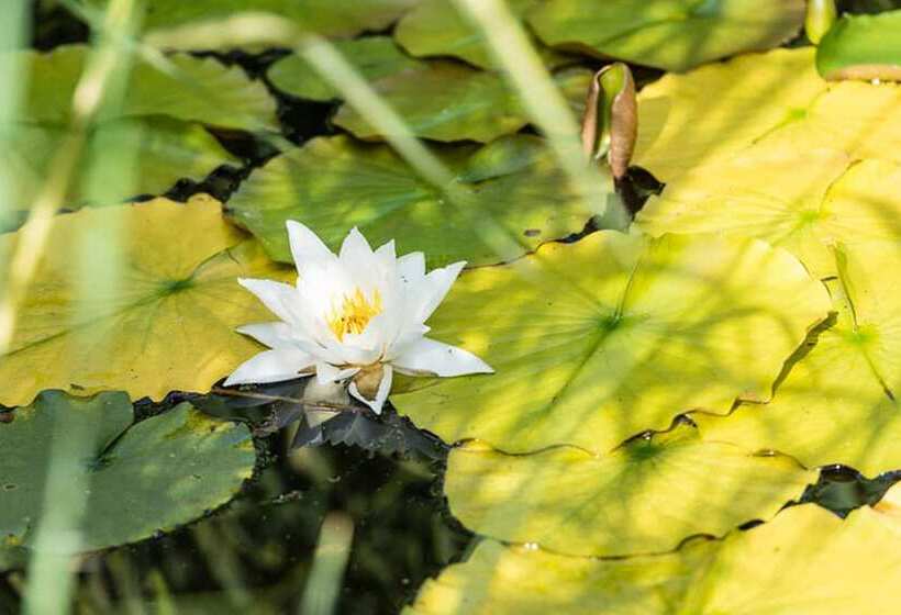 펜션 Landhaus Zum Lindenhof