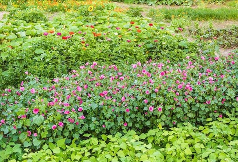 펜션 Landhaus Zum Lindenhof