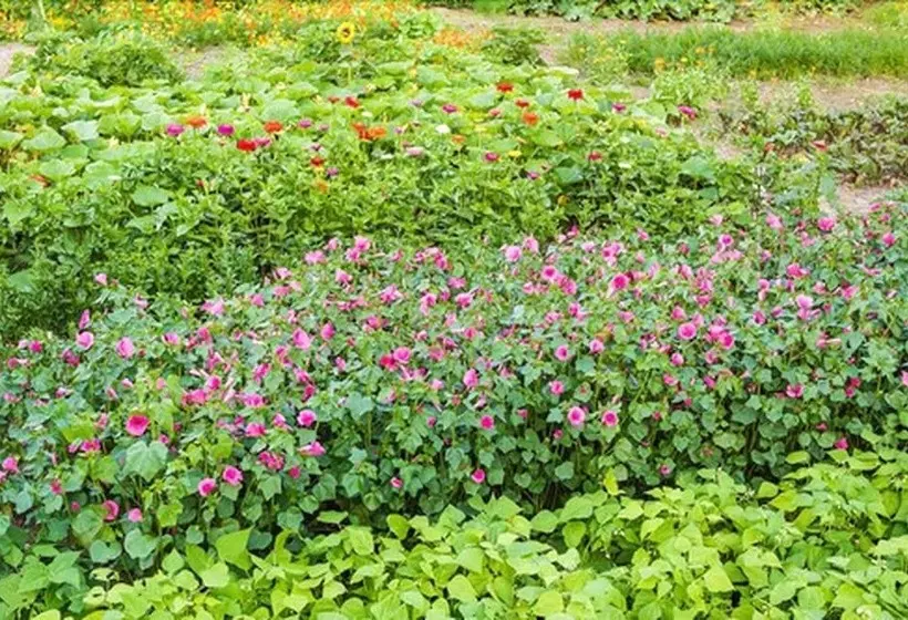 Majatalo Landhaus Zum Lindenhof