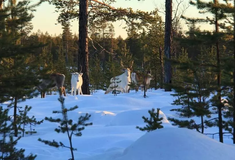 Sporthotell Särna