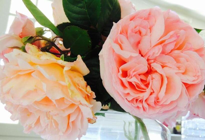 مبيت وإفطار Maison In Normandie