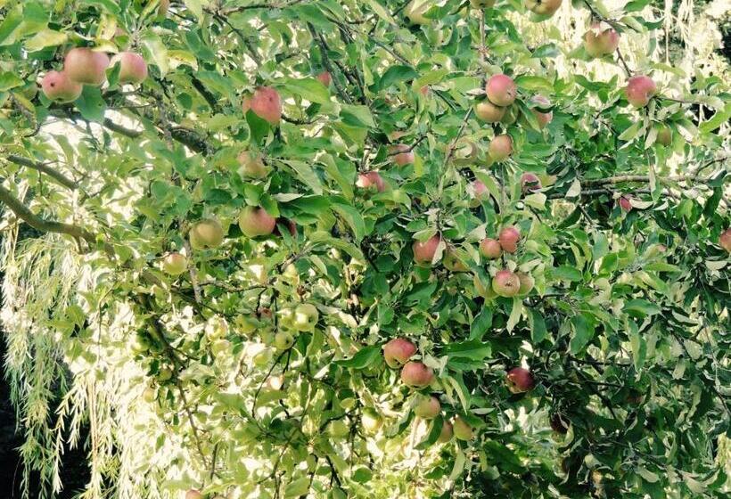 مبيت وإفطار Maison In Normandie