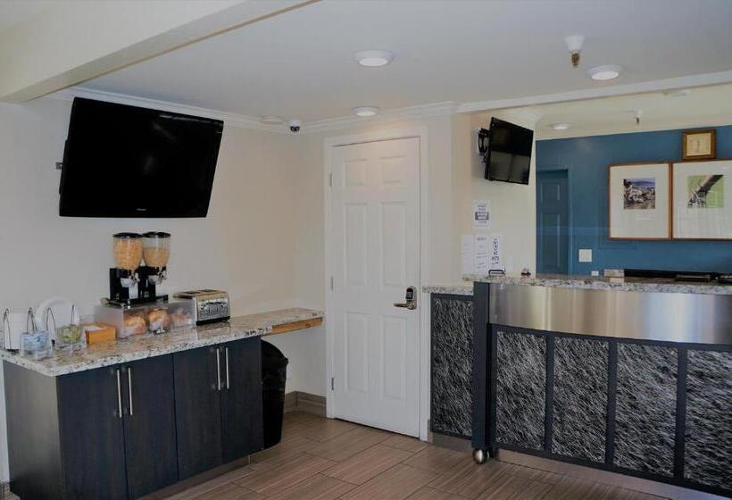 בית מלון כפרי Executive Inn