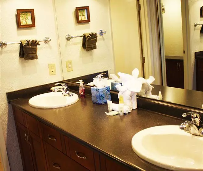 בית מלון כפרי International Lodge