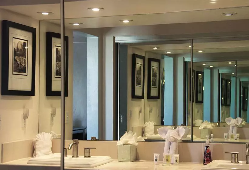 בית מלון כפרי International Lodge