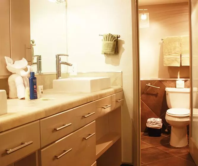 בית מלון כפרי International Lodge