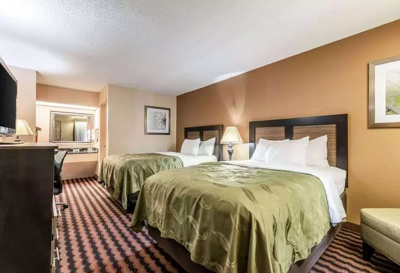 酒店 Quality Inn Decatur River City