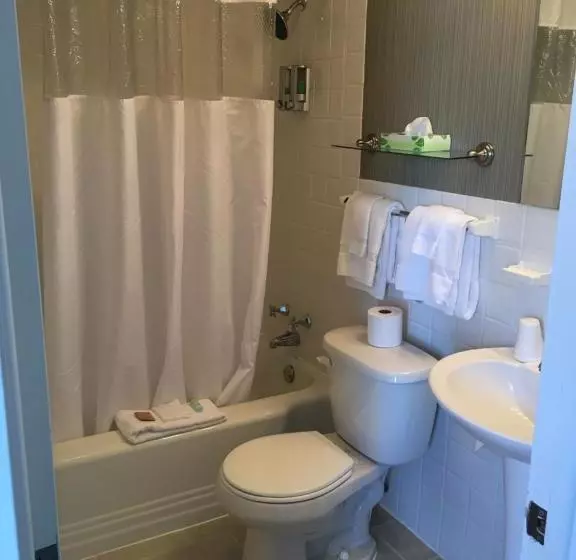 호텔 The Island House