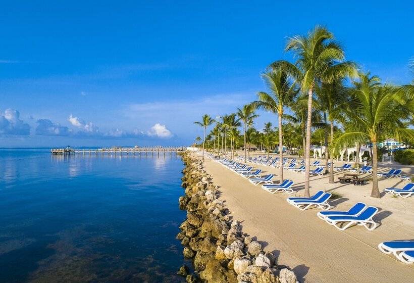 汽车旅馆 Islander Resort