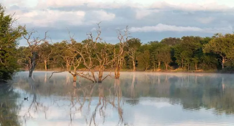 ホテル Abelana River Lodge