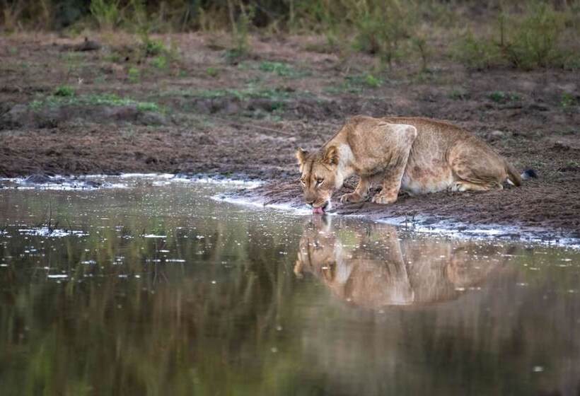 فندق Abelana River Lodge