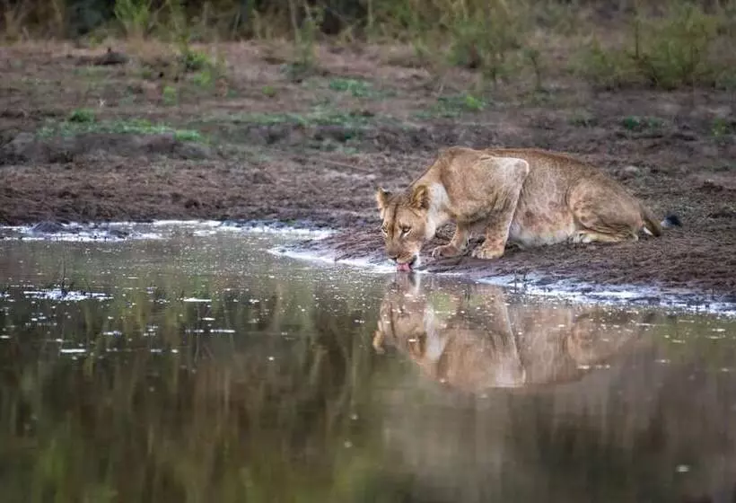 ホテル Abelana River Lodge