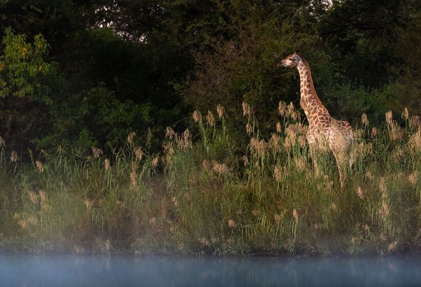 فندق Abelana River Lodge