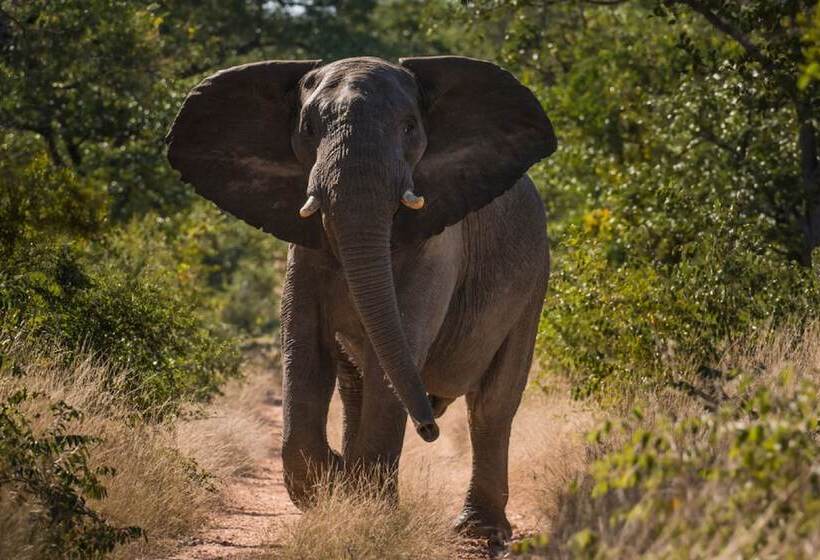 فندق Abelana River Lodge