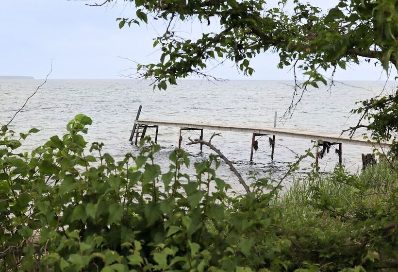 مبيت وإفطار Lundsgaard Gods Bade