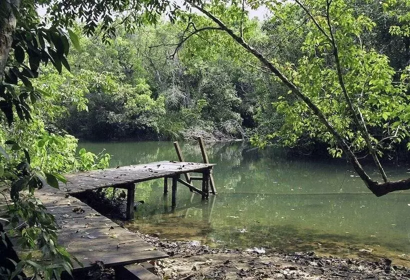 Hotel Campamento Rio Lacanja