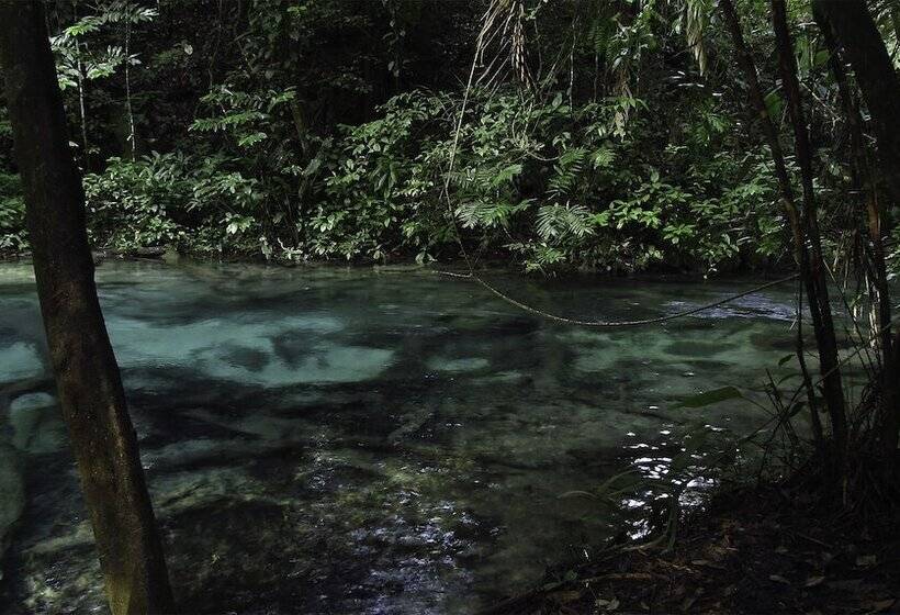 호텔 Campamento Rio Lacanja