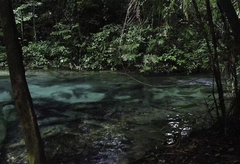 Hotel Campamento Rio Lacanja