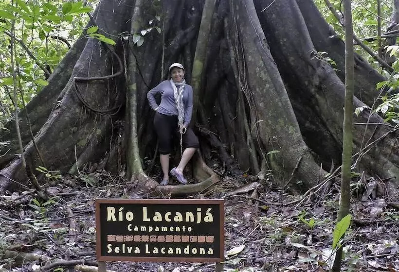 Hotel Campamento Rio Lacanja