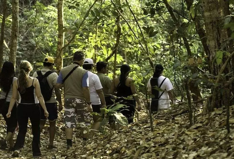 Hotel Campamento Rio Lacanja