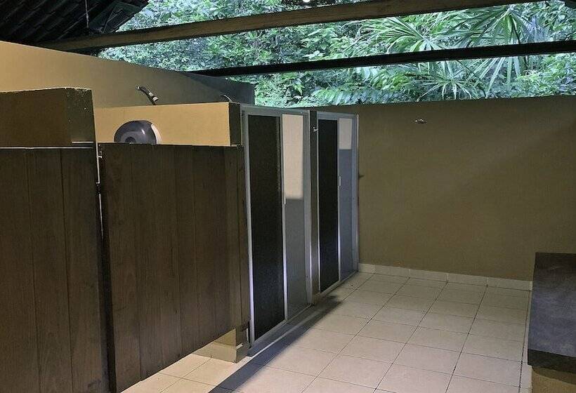 호텔 Campamento Rio Lacanja