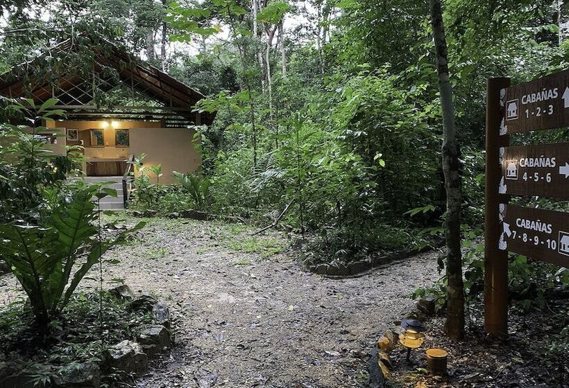 호텔 Campamento Rio Lacanja