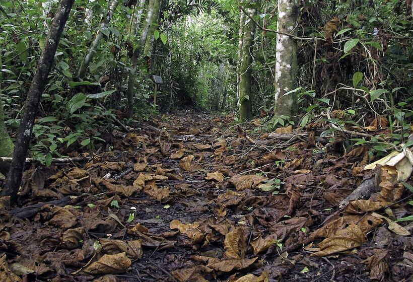 호텔 Campamento Rio Lacanja