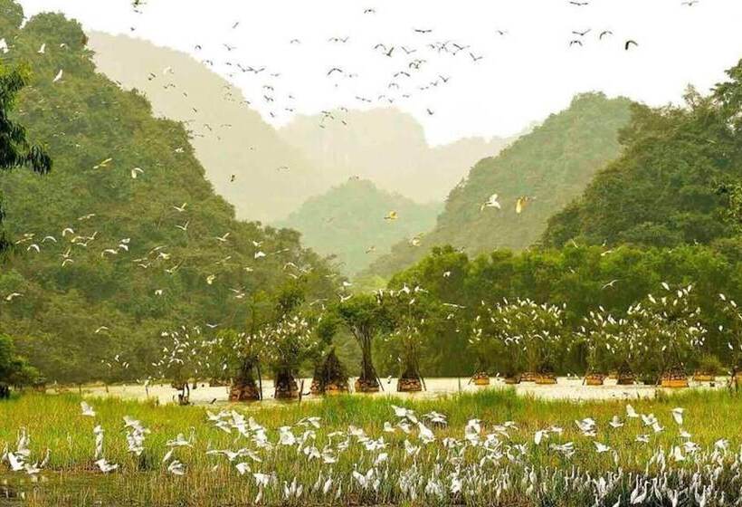 هتل Tam Coc Ngoc Linh Homestay