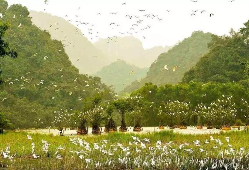 هتل Tam Coc Ngoc Linh Homestay