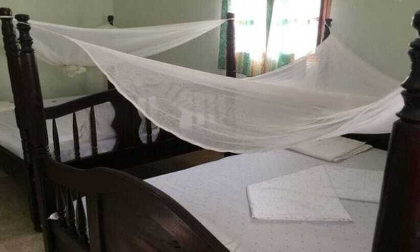 پانسیون Kichi Resort