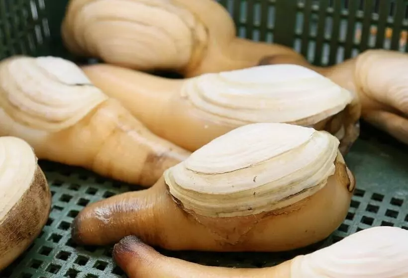 Isoryori Ryokan Yamani