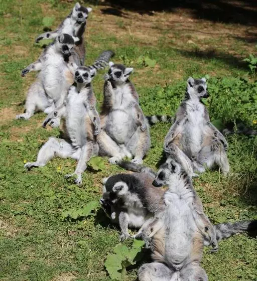 Aamiaismajoitus (B&B) La Roseraie