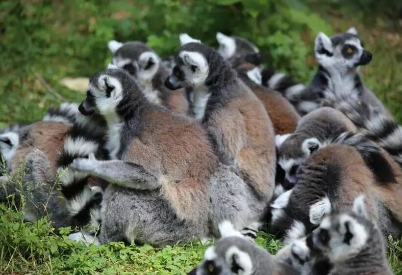 Aamiaismajoitus (B&B) La Roseraie