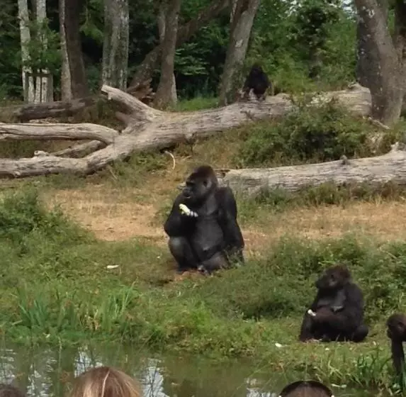 Aamiaismajoitus (B&B) La Roseraie