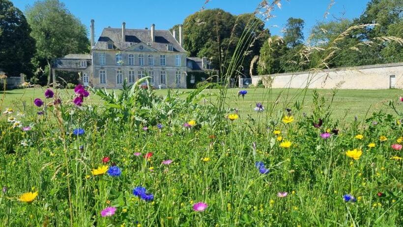 פנסיון Chambres D'hôtes Château De Martragny