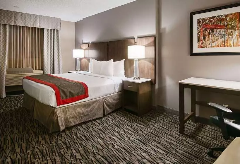 ホテル Best Western Los Alamitos Inn & Suites