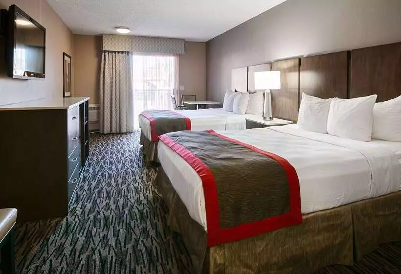 ホテル Best Western Los Alamitos Inn & Suites