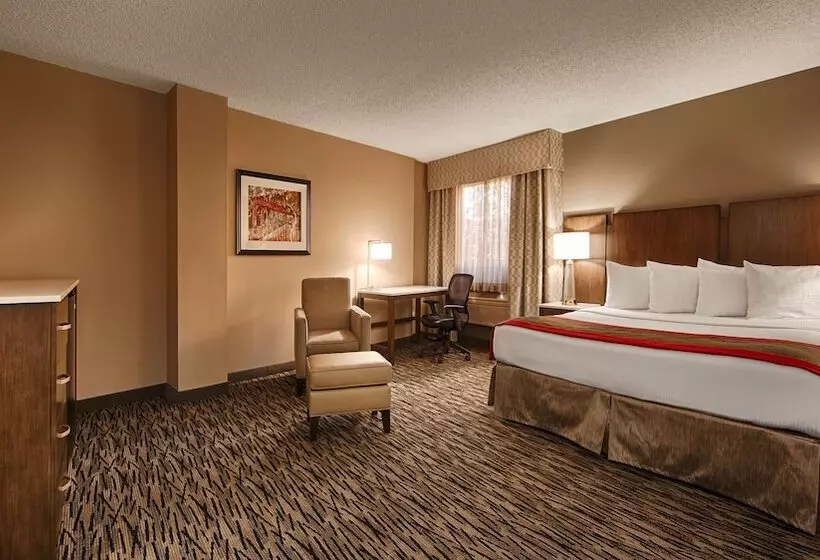 ホテル Best Western Los Alamitos Inn & Suites