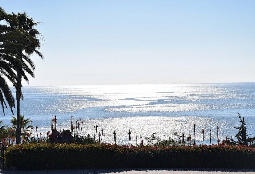 فندق Laguna Shores Studio Suites